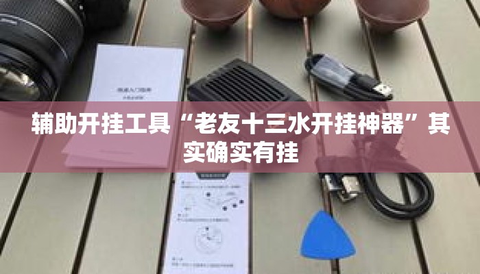 辅助开挂工具“老友十三水开挂神器”其实确实有挂