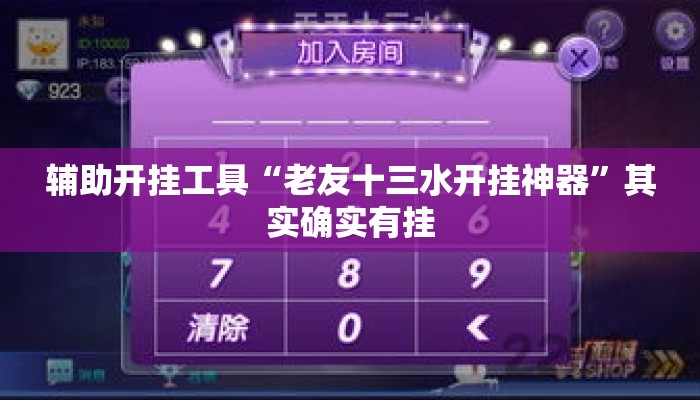 辅助开挂工具“老友十三水开挂神器”其实确实有挂