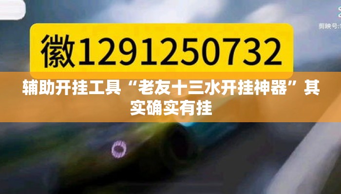 辅助开挂工具“老友十三水开挂神器”其实确实有挂