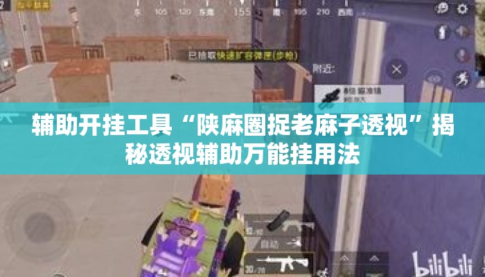 辅助开挂工具“陕麻圈捉老麻子透视”揭秘透视辅助万能挂用法