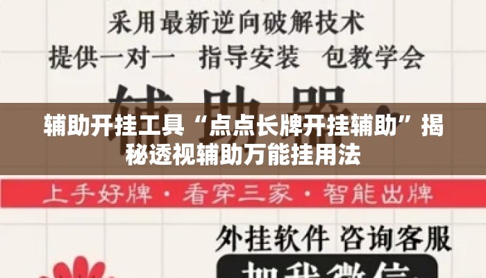 辅助开挂工具“点点长牌开挂辅助”揭秘透视辅助万能挂用法
