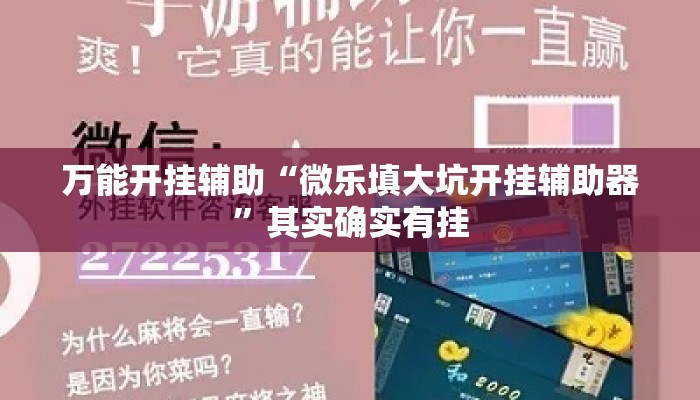 万能开挂辅助“微乐填大坑开挂辅助器”其实确实有挂