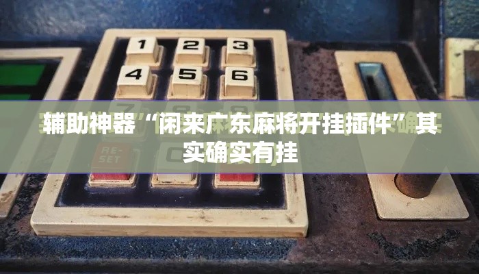 辅助神器“闲来广东麻将开挂插件”其实确实有挂