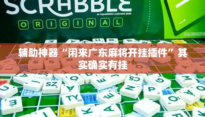 辅助神器“闲来广东麻将开挂插件”其实确实有挂