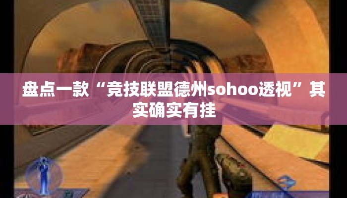 盘点一款“竞技联盟德州sohoo透视”其实确实有挂