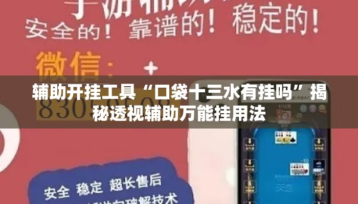 辅助开挂工具“口袋十三水有挂吗”揭秘透视辅助万能挂用法