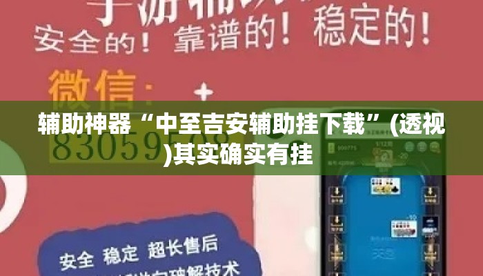 辅助神器“中至吉安辅助挂下载”(透视)其实确实有挂 