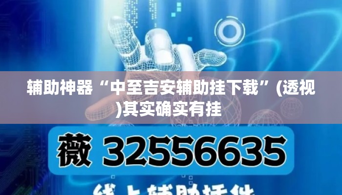 辅助神器“中至吉安辅助挂下载”(透视)其实确实有挂 