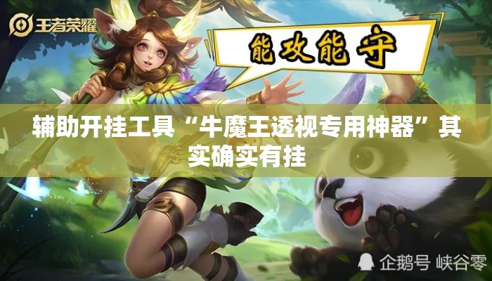 辅助开挂工具“牛魔王透视专用神器”其实确实有挂