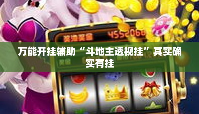万能开挂辅助“斗地主透视挂	”其实确实有挂