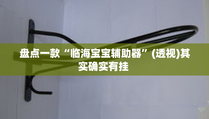 盘点一款“临海宝宝辅助器	”(透视)其实确实有挂 