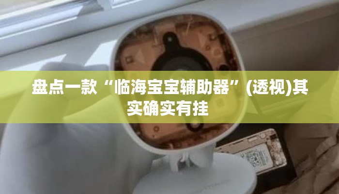 盘点一款“临海宝宝辅助器”(透视)其实确实有挂 