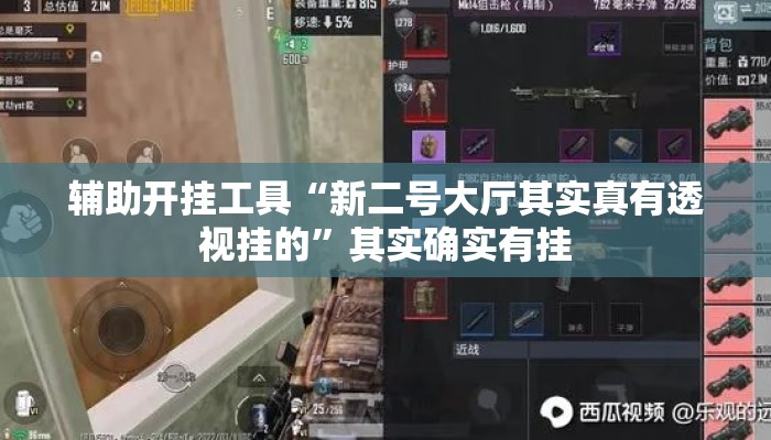 辅助开挂工具“新二号大厅其实真有透视挂的	”其实确实有挂