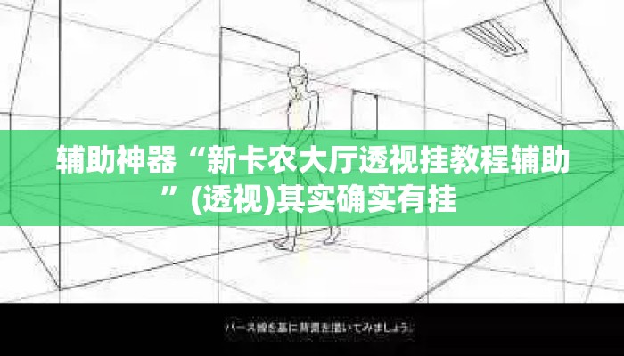 辅助神器“新卡农大厅透视挂教程辅助	”(透视)其实确实有挂 