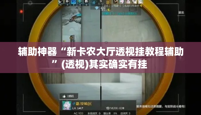 辅助神器“新卡农大厅透视挂教程辅助”(透视)其实确实有挂 