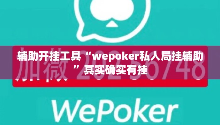 辅助开挂工具“wepoker私人局挂辅助	”其实确实有挂