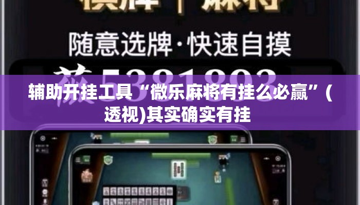 辅助开挂工具“微乐麻将有挂么必赢”(透视)其实确实有挂 