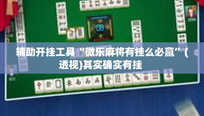 辅助开挂工具“微乐麻将有挂么必赢”(透视)其实确实有挂 