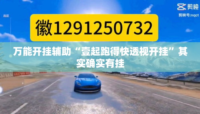 万能开挂辅助“壹起跑得快透视开挂	”其实确实有挂