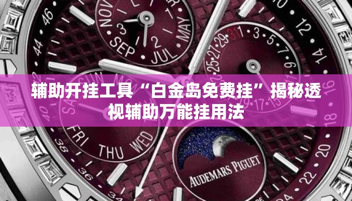 辅助开挂工具“白金岛免费挂	”揭秘透视辅助万能挂用法