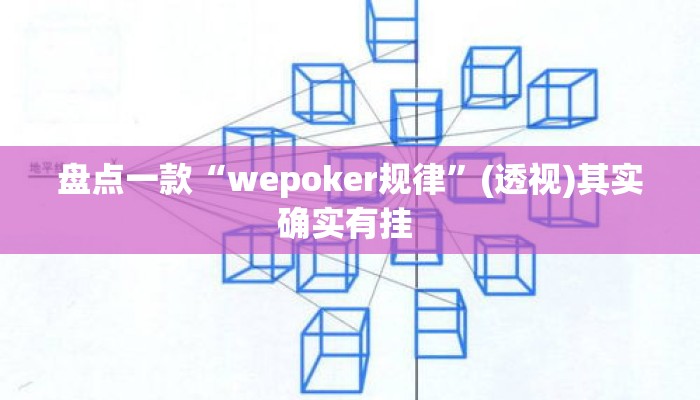 盘点一款“wepoker规律	”(透视)其实确实有挂 