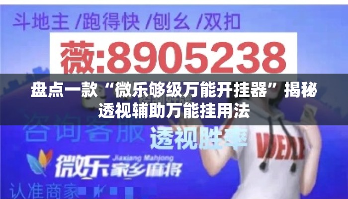盘点一款“微乐够级万能开挂器”揭秘透视辅助万能挂用法