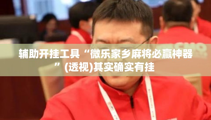 辅助开挂工具“微乐家乡麻将必赢神器	”(透视)其实确实有挂 
