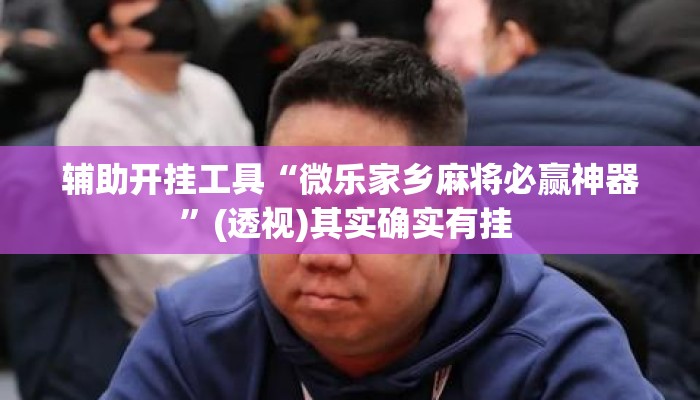 辅助开挂工具“微乐家乡麻将必赢神器	”(透视)其实确实有挂 