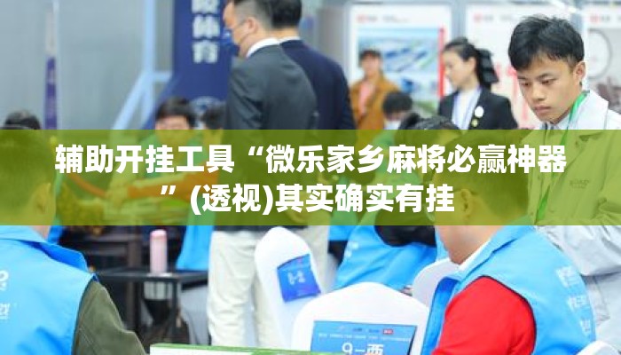 辅助开挂工具“微乐家乡麻将必赢神器”(透视)其实确实有挂 
