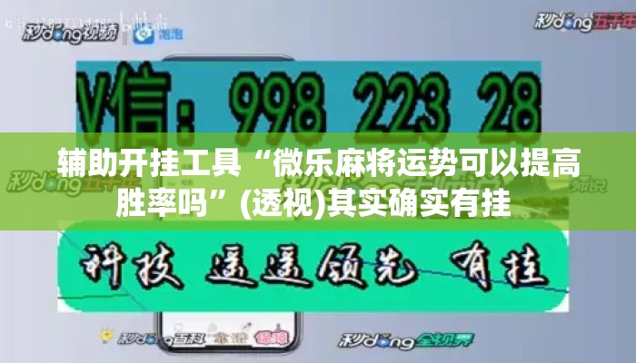 辅助开挂工具“微乐麻将运势可以提高胜率吗	”(透视)其实确实有挂 