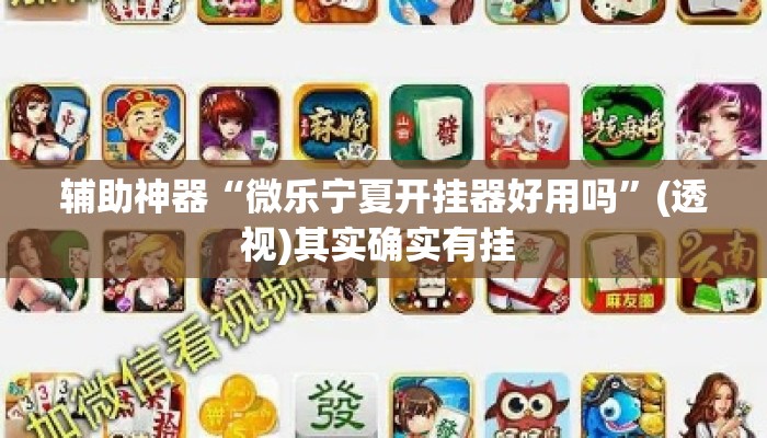 辅助神器“微乐宁夏开挂器好用吗”(透视)其实确实有挂 