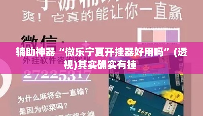 辅助神器“微乐宁夏开挂器好用吗”(透视)其实确实有挂 