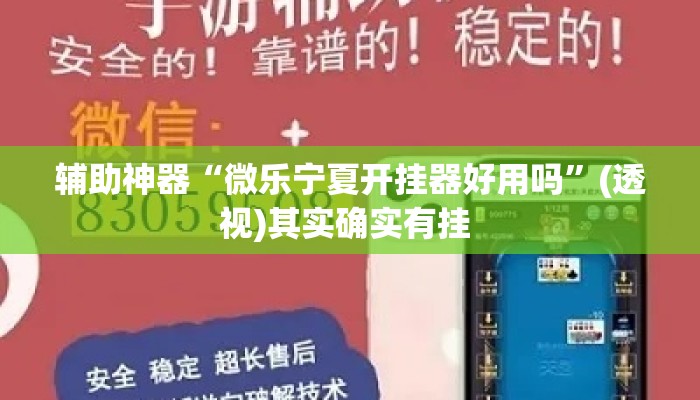 辅助神器“微乐宁夏开挂器好用吗	”(透视)其实确实有挂 