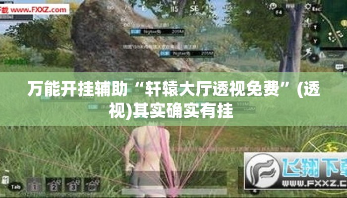 万能开挂辅助“轩辕大厅透视免费	”(透视)其实确实有挂 