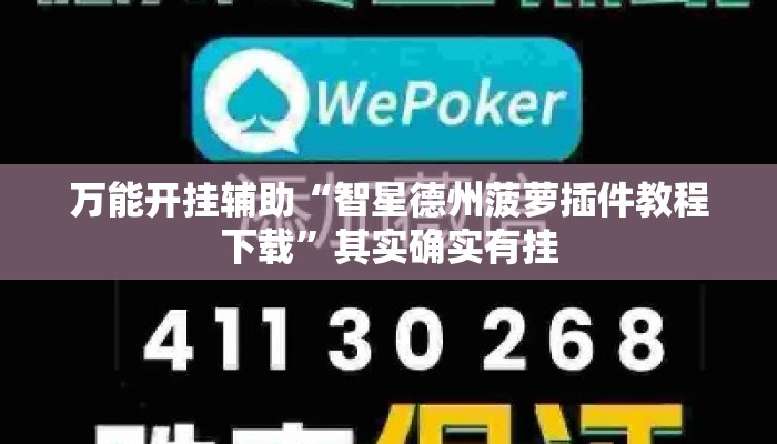 万能开挂辅助“智星德州菠萝插件教程下载	”其实确实有挂