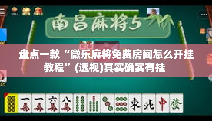 盘点一款“微乐麻将免费房间怎么开挂教程”(透视)其实确实有挂 