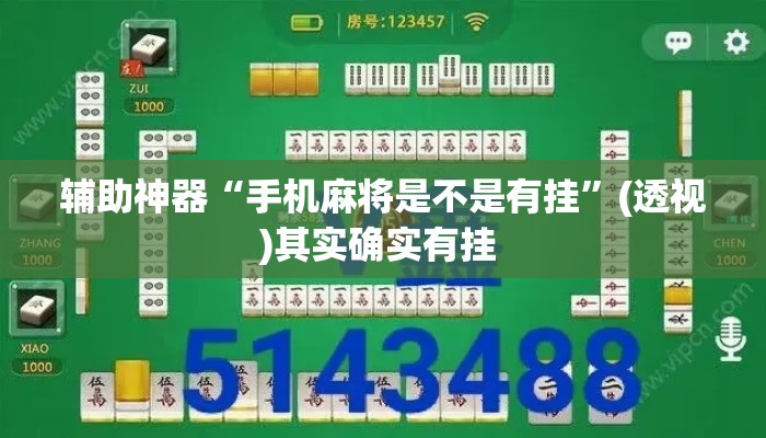 辅助神器“手机麻将是不是有挂”(透视)其实确实有挂 