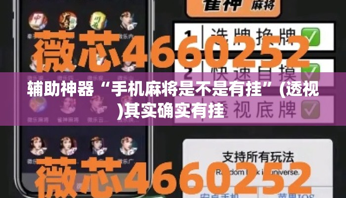 辅助神器“手机麻将是不是有挂”(透视)其实确实有挂 