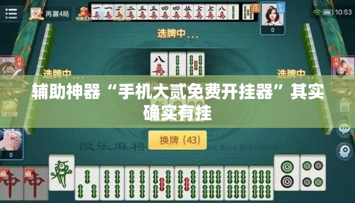 辅助神器“手机大贰免费开挂器	”其实确实有挂