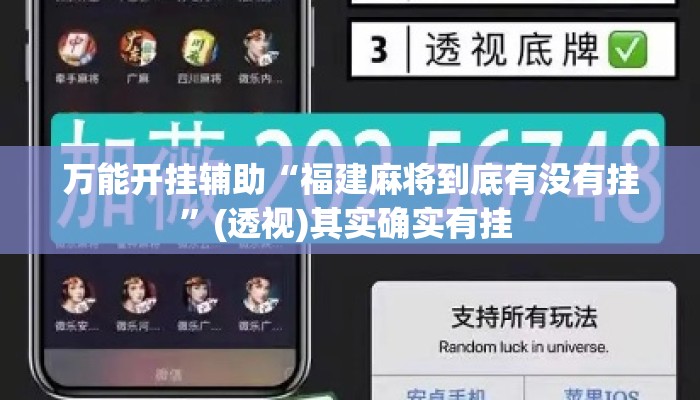 万能开挂辅助“福建麻将到底有没有挂	”(透视)其实确实有挂 