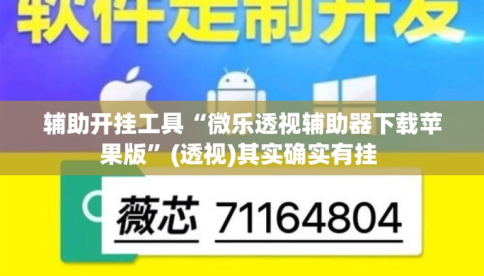辅助开挂工具“微乐透视辅助器下载苹果版”(透视)其实确实有挂 
