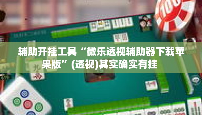 辅助开挂工具“微乐透视辅助器下载苹果版”(透视)其实确实有挂 