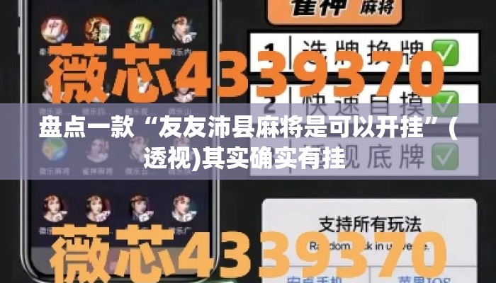 盘点一款“友友沛县麻将是可以开挂”(透视)其实确实有挂 