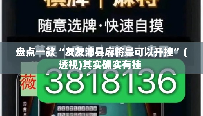 盘点一款“友友沛县麻将是可以开挂	”(透视)其实确实有挂 