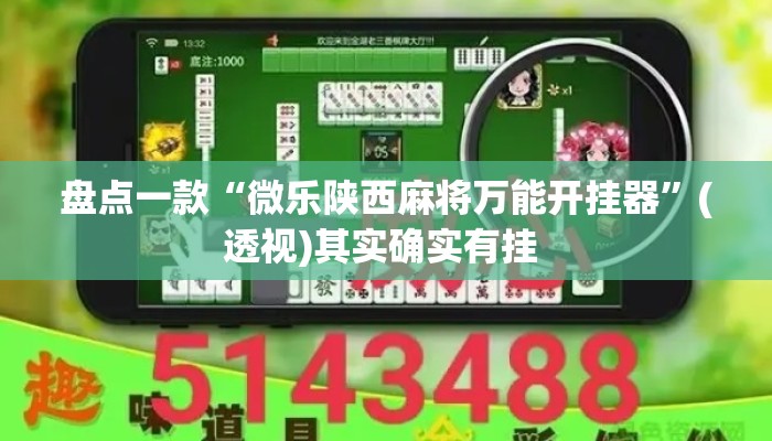盘点一款“微乐陕西麻将万能开挂器”(透视)其实确实有挂 