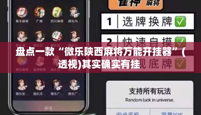 盘点一款“微乐陕西麻将万能开挂器”(透视)其实确实有挂 