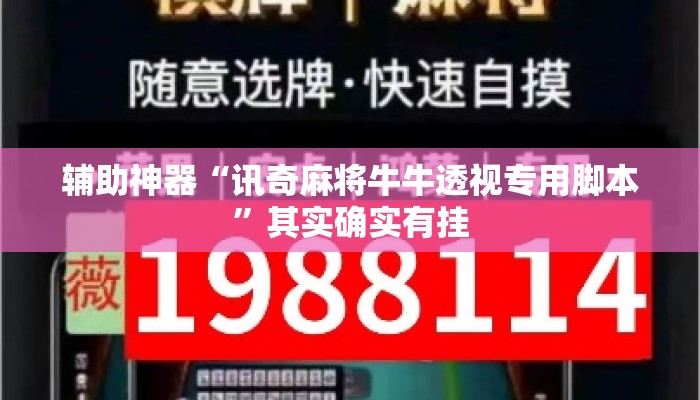 辅助神器“讯奇麻将牛牛透视专用脚本”其实确实有挂