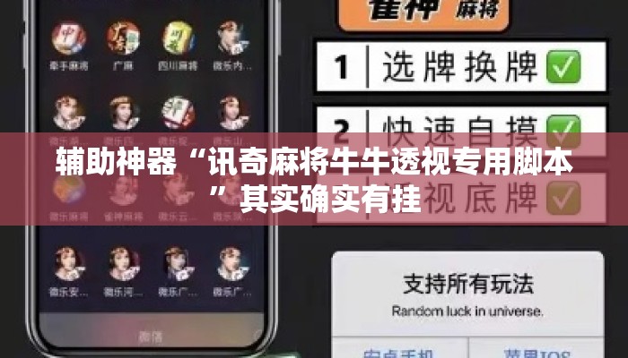 辅助神器“讯奇麻将牛牛透视专用脚本	”其实确实有挂