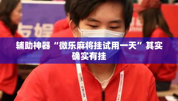 辅助神器“微乐麻将挂试用一天”其实确实有挂