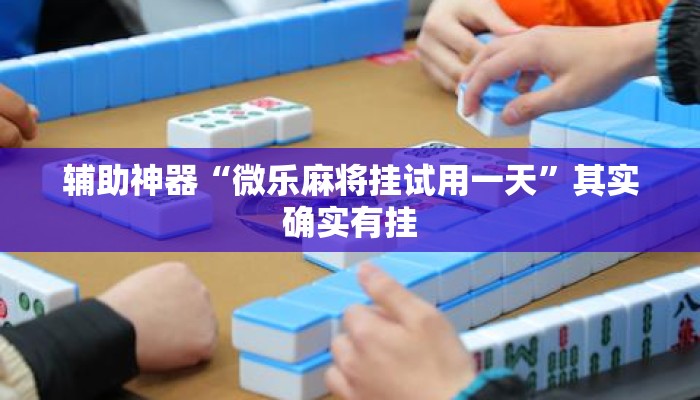 辅助神器“微乐麻将挂试用一天”其实确实有挂